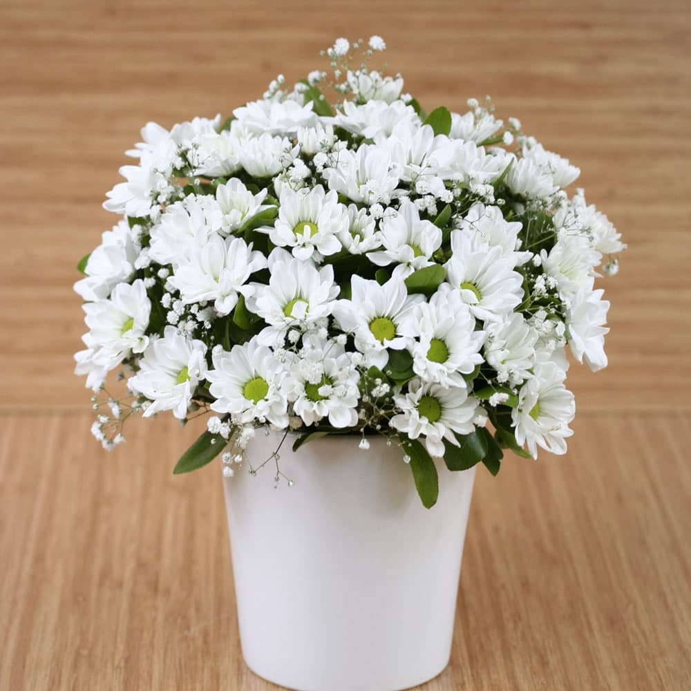 Dear Mom, DAISY IN CERAMIC