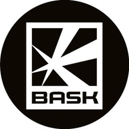 BASK COMPANY LTD