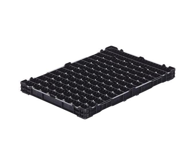 Hydra-Trays 600 x 400 x 50 mm - Für Blumenzwiebeln,...