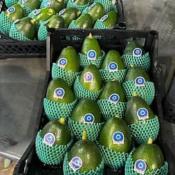 avokado