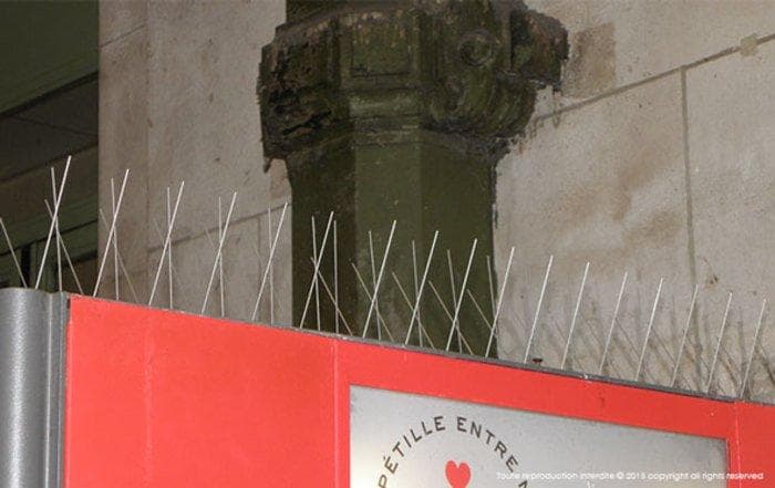 Taubenabwehr: abschreckende Taubenabwehrspikes...