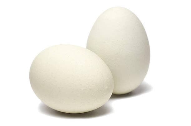 White, Brown eggs