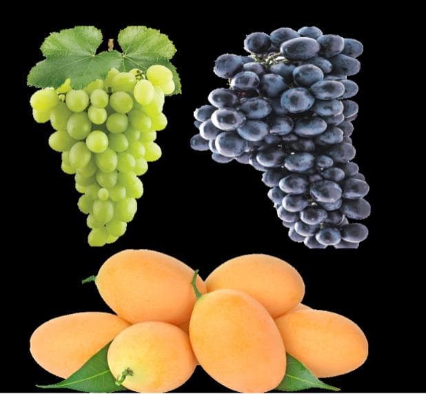 FRUTA FRESCA TROPICAL, CEBOLLAS, PATATAS