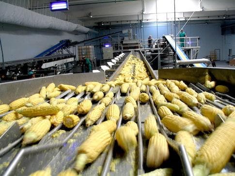 Cleaning And Sorting