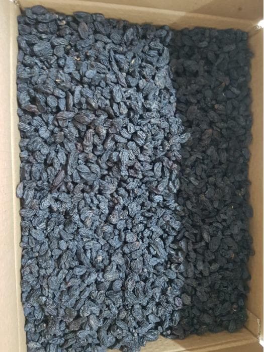 Black Raisins-Dried Grapes
