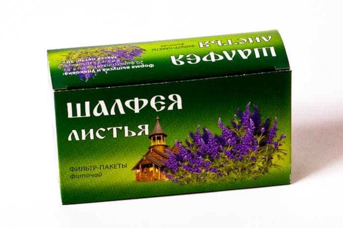 Sage leaves phytotea