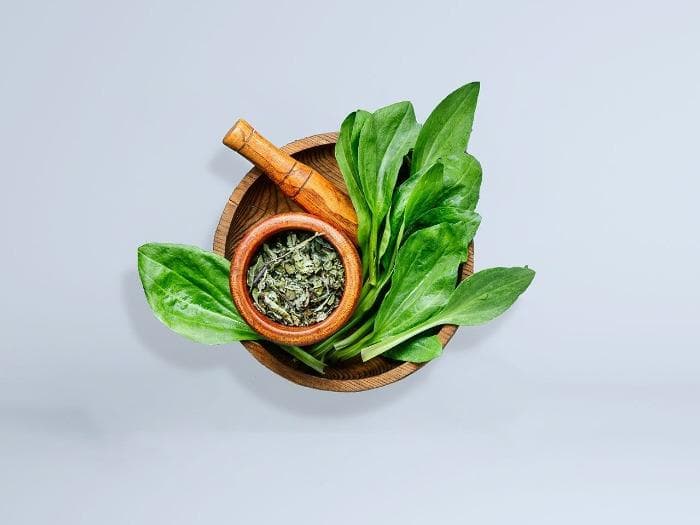 OTC (Herbal) Products