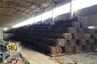 Licorice Root (Glycyrrhiza Glabra)