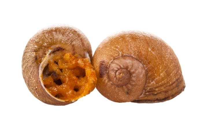 Thai Style Escargo with Coconut