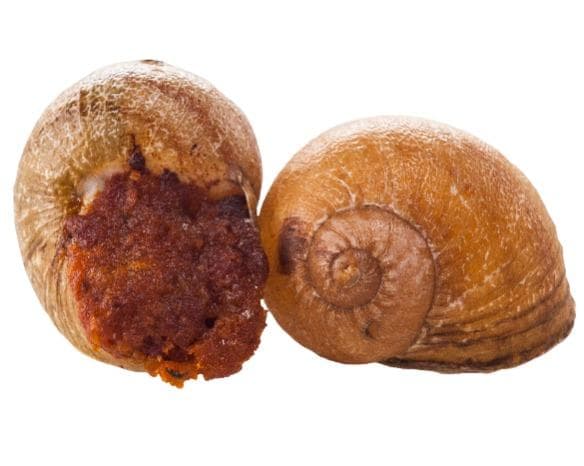 Escargot with sun-dried tomatoes