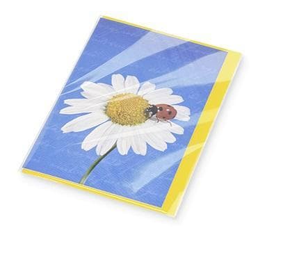 Cast-Polypropylene-Film (CPP-Film)