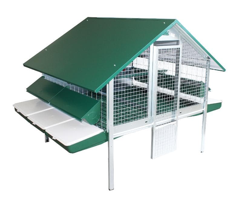 Pollaio Per Galline Ovaiole