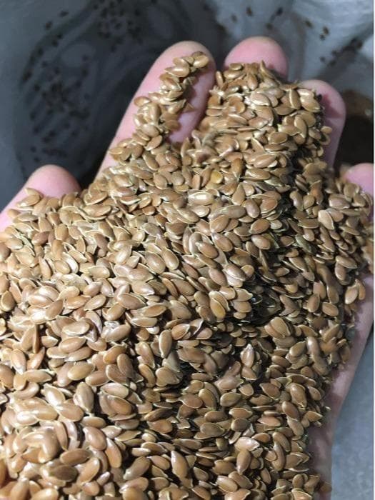 Flax seeds