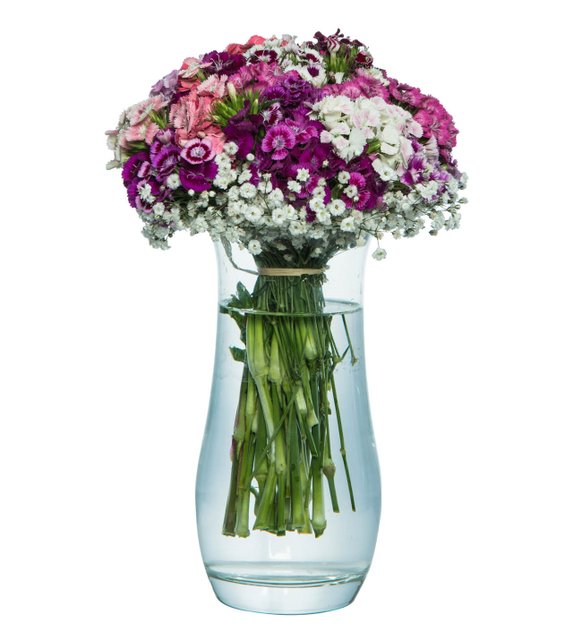 Hüsnü Yusufs in a Paşabahçe Vase