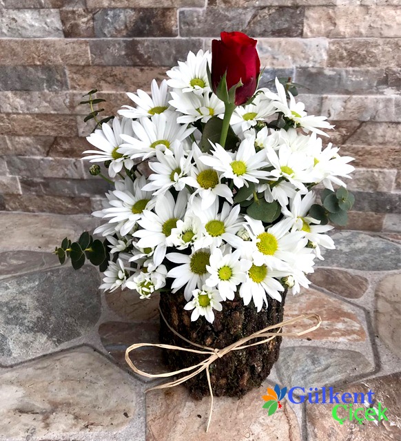Daisy and Single Rose on Wood