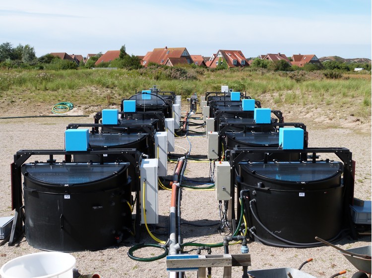 Design and construction of complex mesocosmic systems