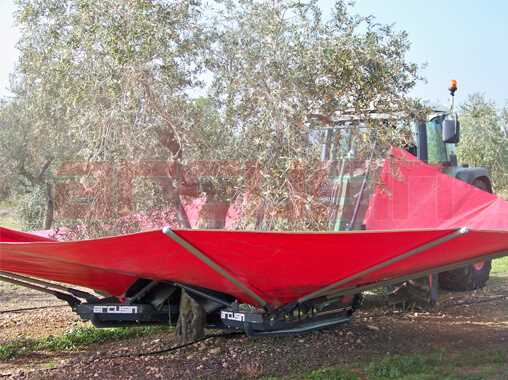 Shaker for the collection of all types of nuts and olives