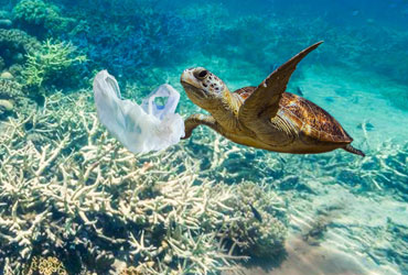 Waste and recycling cargo