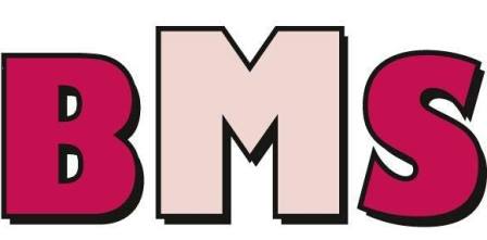BMS Baumaschinen GmbH 