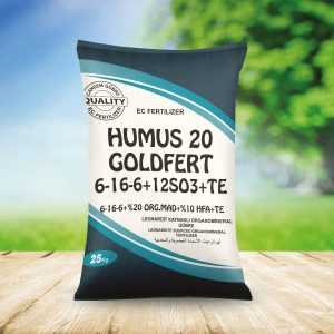 20 Goldbet Hummus