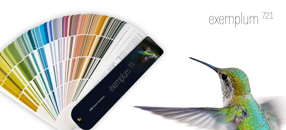 dis cephe mat boyalar