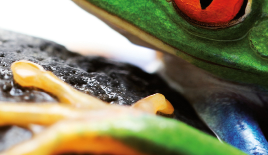 epoksi slikon recine boyalar