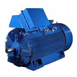 Genel amaçlı "Yüksek Verimli" Yüksek Gerilim motorları