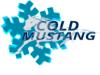 COLD MUSTANG TROCKENEISSTRAHLEN / TROCKENEISREINIGUNG