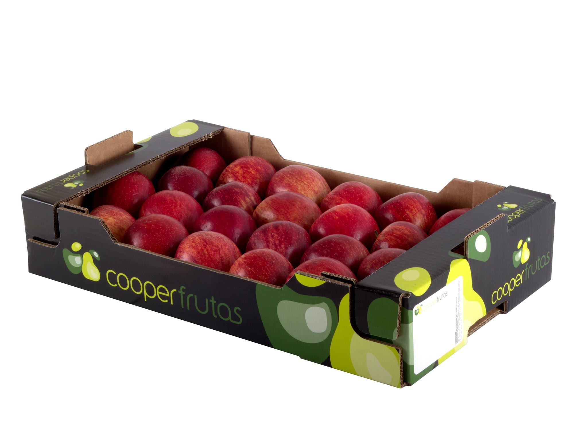 wholesale fruit trading