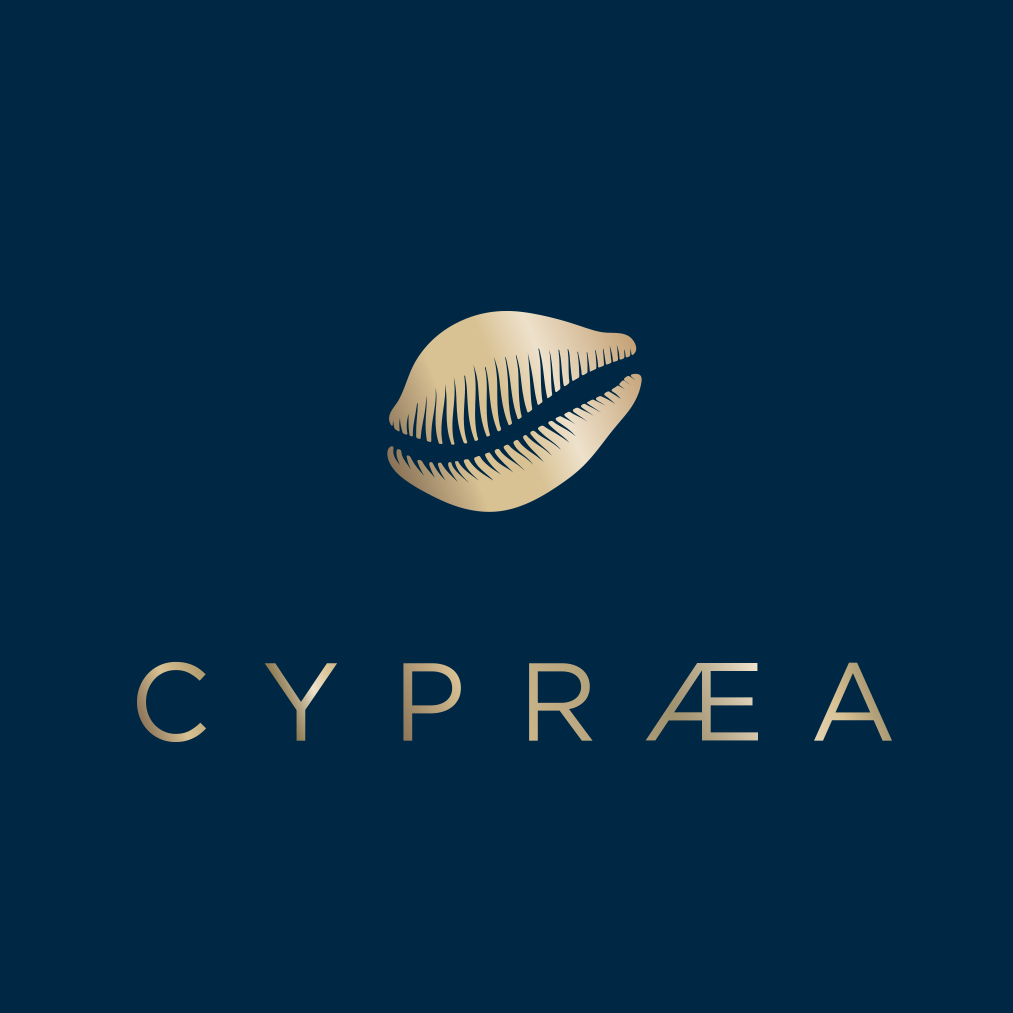 Cypraea 