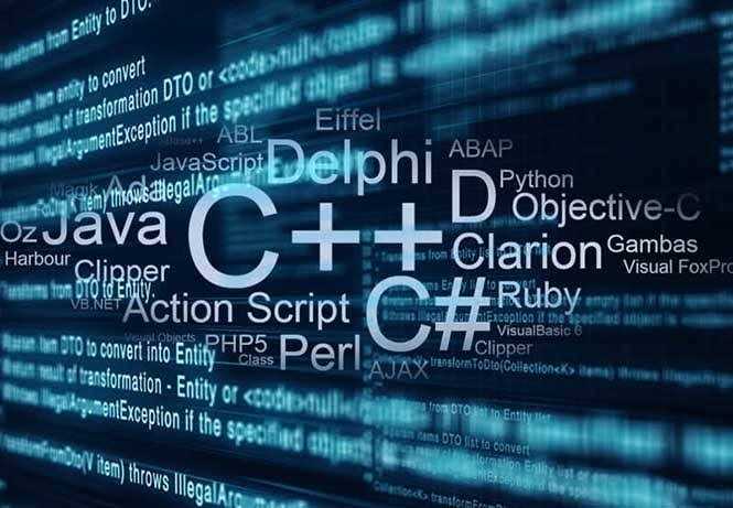 web tasarımı ve yazılımı