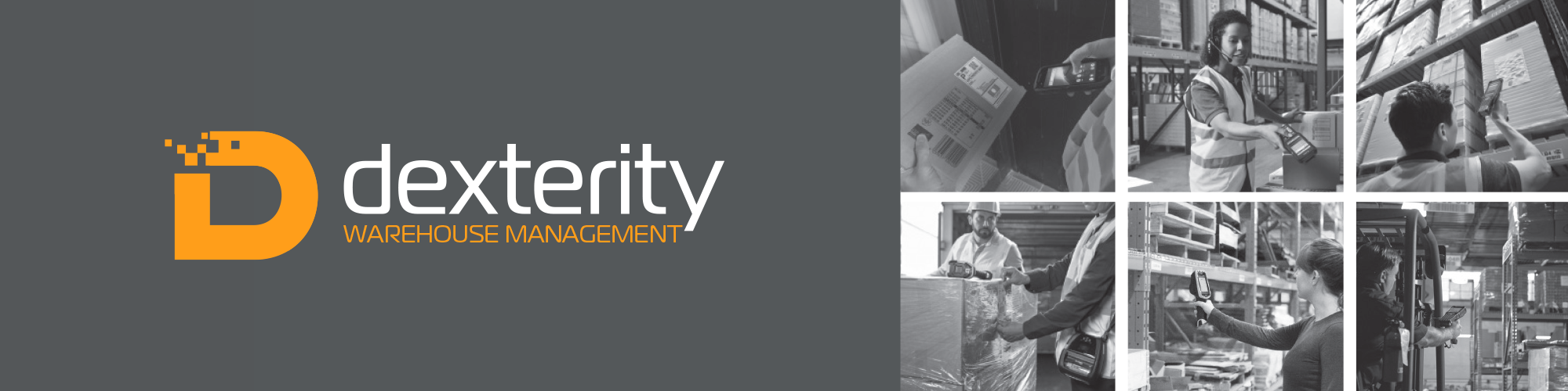 Dexterity-WMS-portfolio-banner-image.png