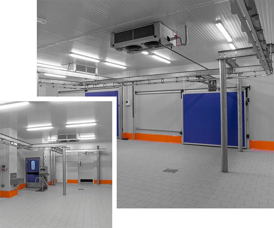 Frigo Piu, Spezialist für industrielle Kühlung