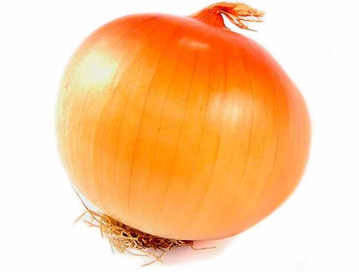 ONION REPEATED / SIBERIA