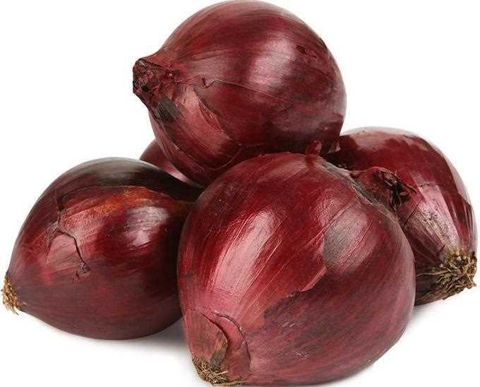 ONION BOW RED / BLACK PRINCE