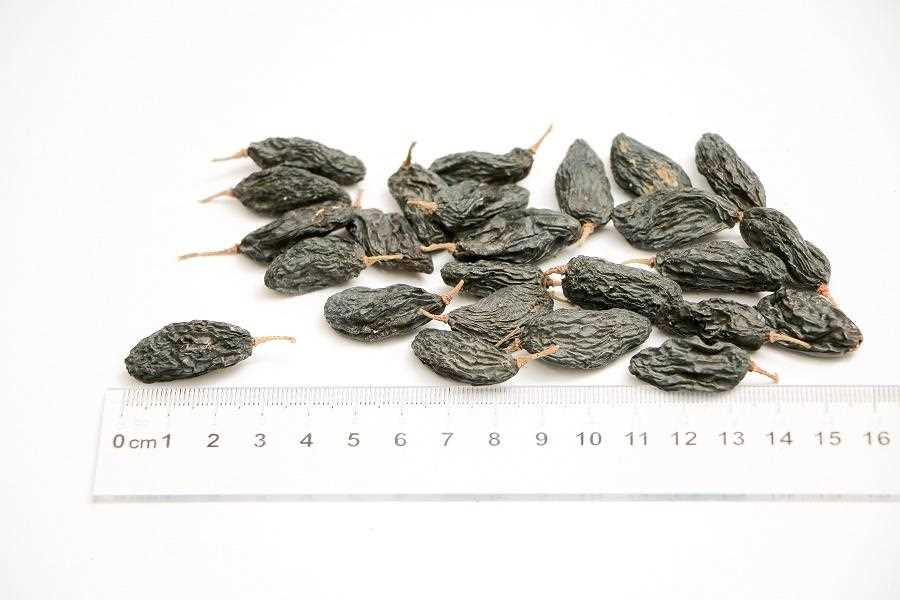 Raisins Black - SEPY SOYAK