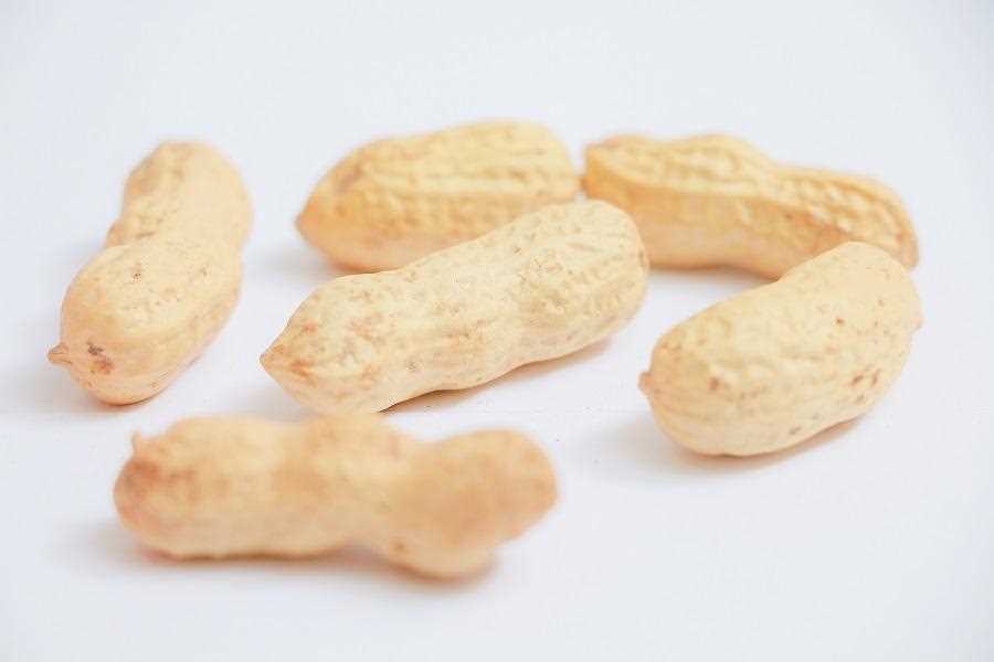 Roasted peanuts in the scallop