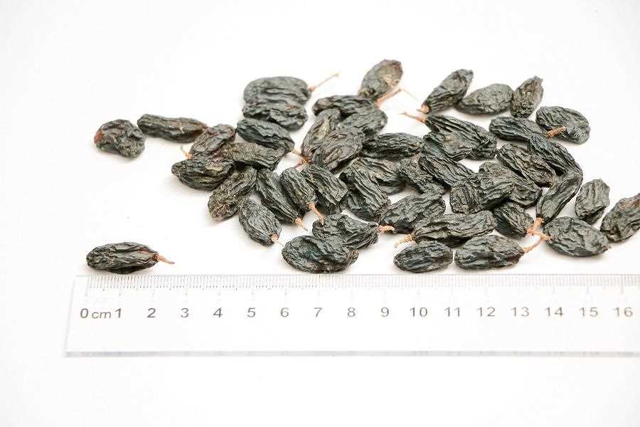 Raisins Black - Soyaki Hybrid