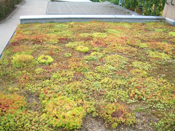 yesil cati duzenlemeleri