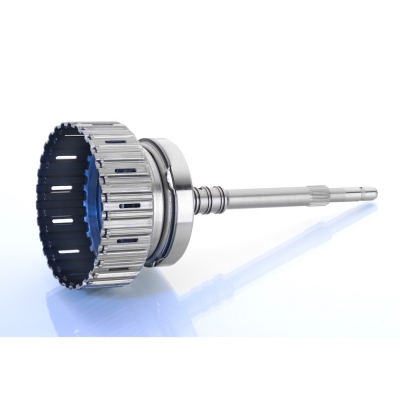 SANZIMAN BILESENLERI