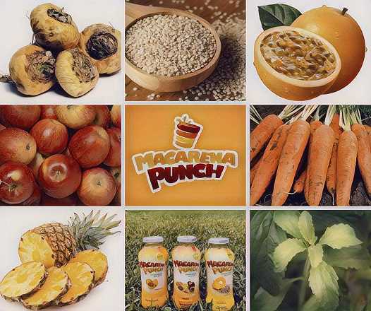 Macarena punch / doğal içecekler