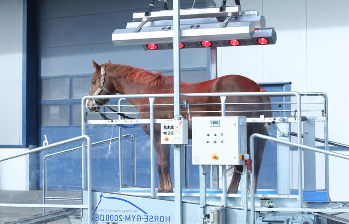 Solárium para caballos