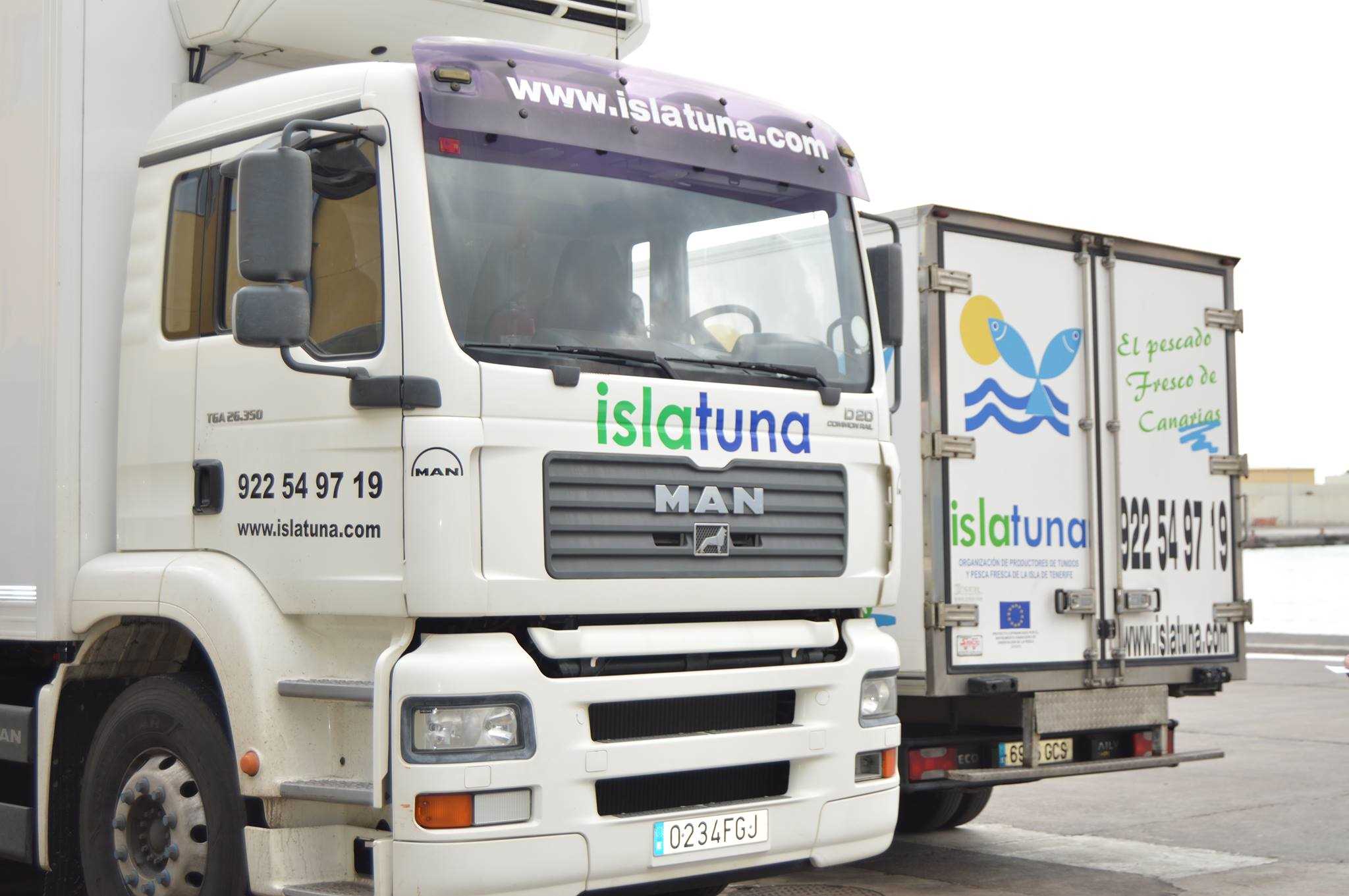 taze balık taşıma