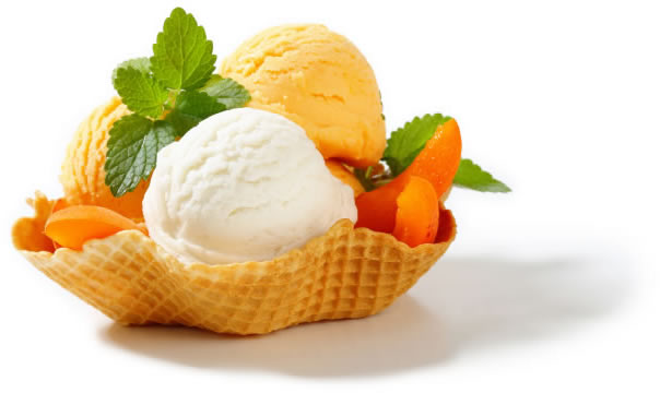 dondurma malzemeleri