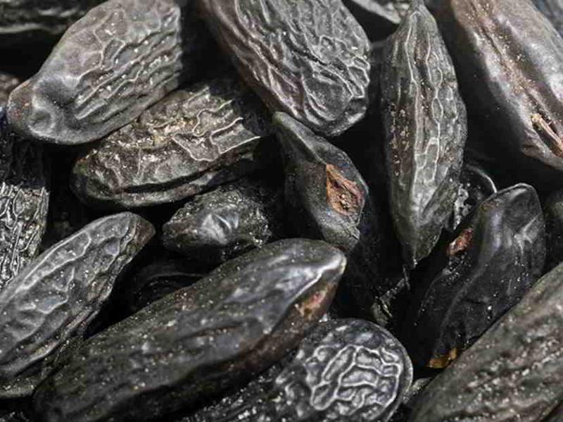 مقتطفات تونكا