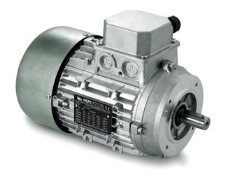Standart uc fazli motorlar