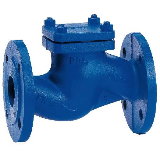 Lift check valve