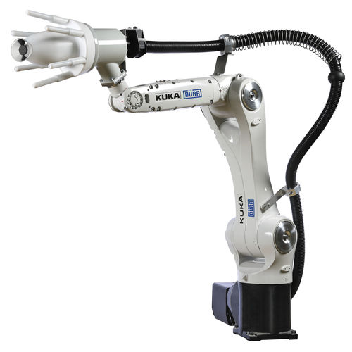 روبوت الطلاء / المضافة / 6-محور / حزمة READY2_SPRAY