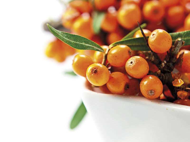 Organik Deniz Topalak Hamuru Yağı