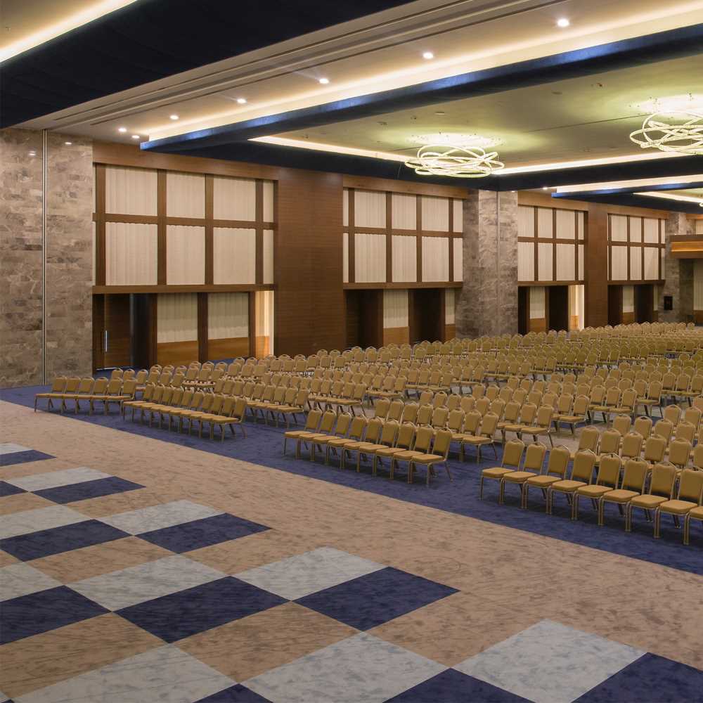 Salon ve arena halıları